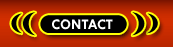 Transsexuals Phone Sex Contact Washington DC